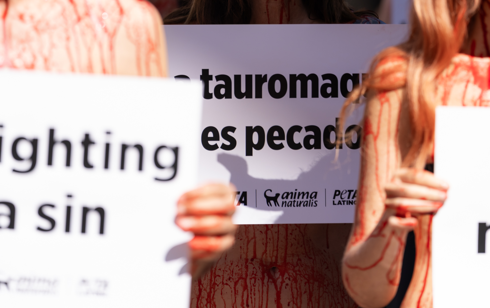 Tauromaquia es pecado