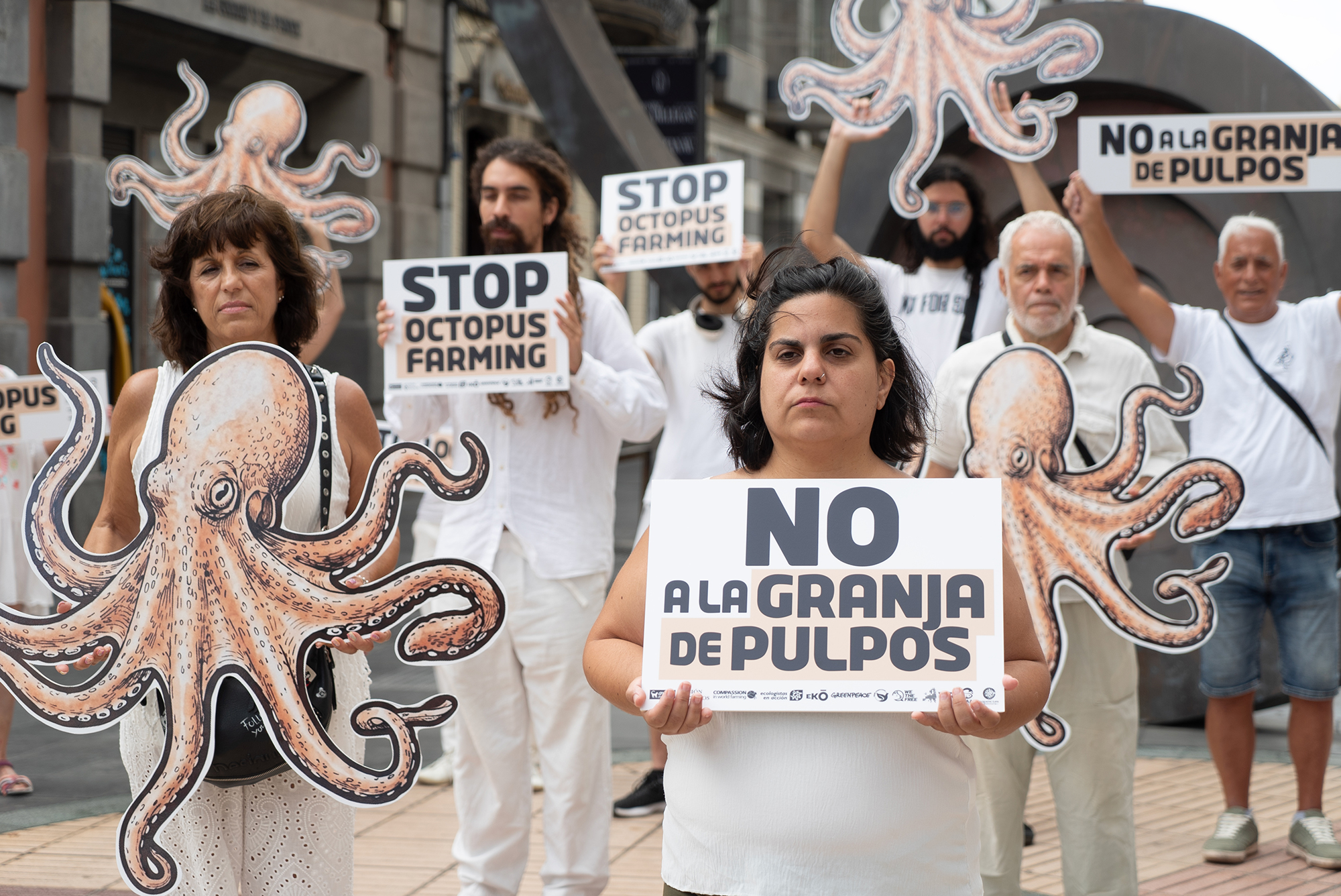 Pescanova retira su macrogranja de pulpos y Canarias exige prohibirla por ley