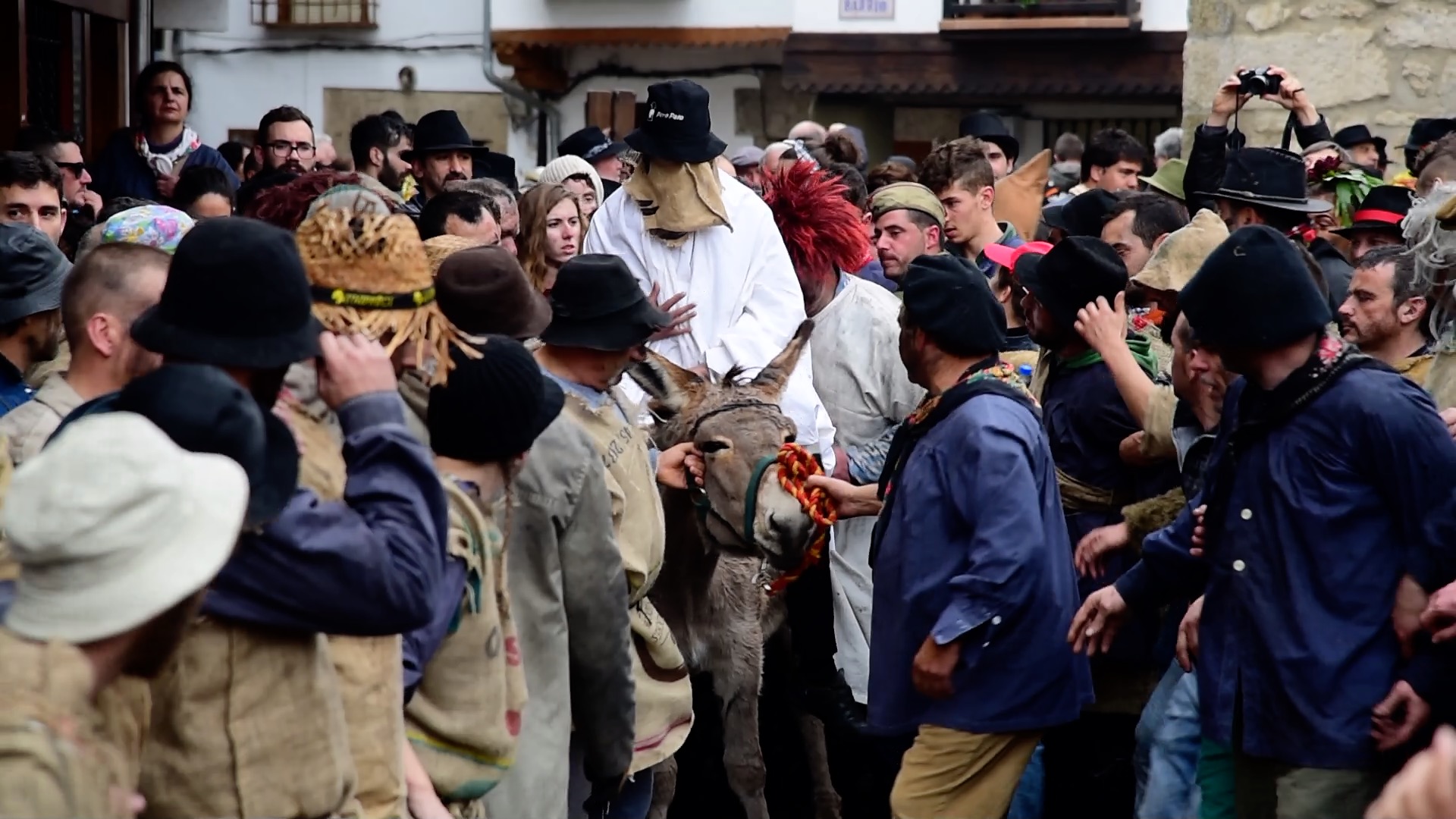 Un burro maltratado en nombre de la tradición. ¡Ayúdanos a decir basta!
