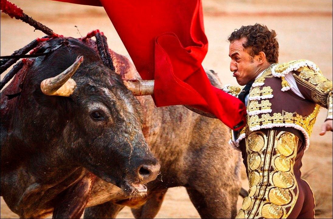 Movistar Plus propone corridas de toros a puerta cerrada. ¡Digamos NO!