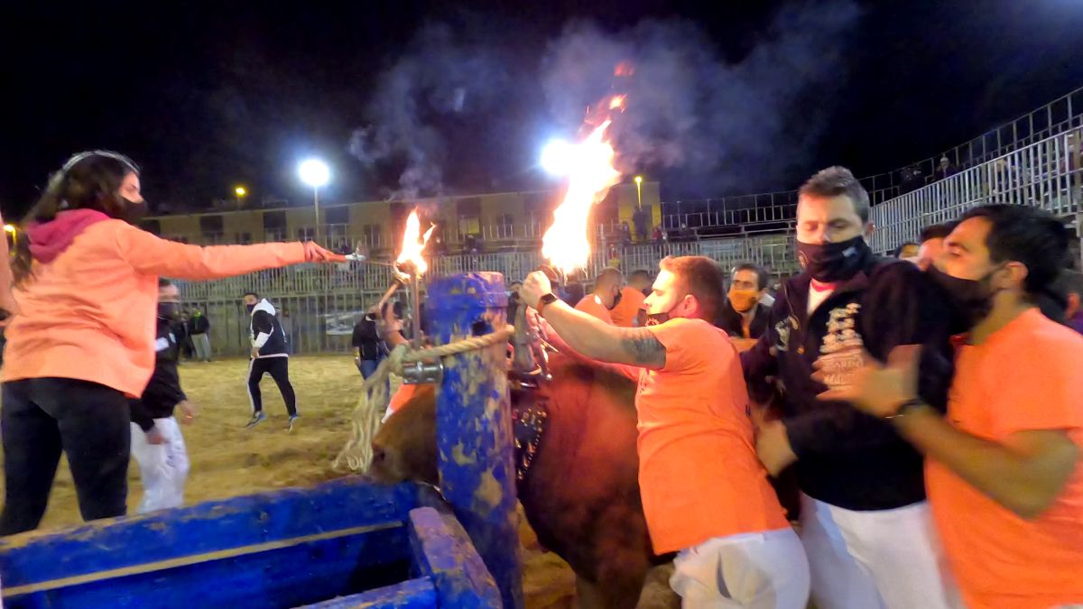 ¡Ayúdanos a desautorizar los toros embolados de este sábado en Vila-real!