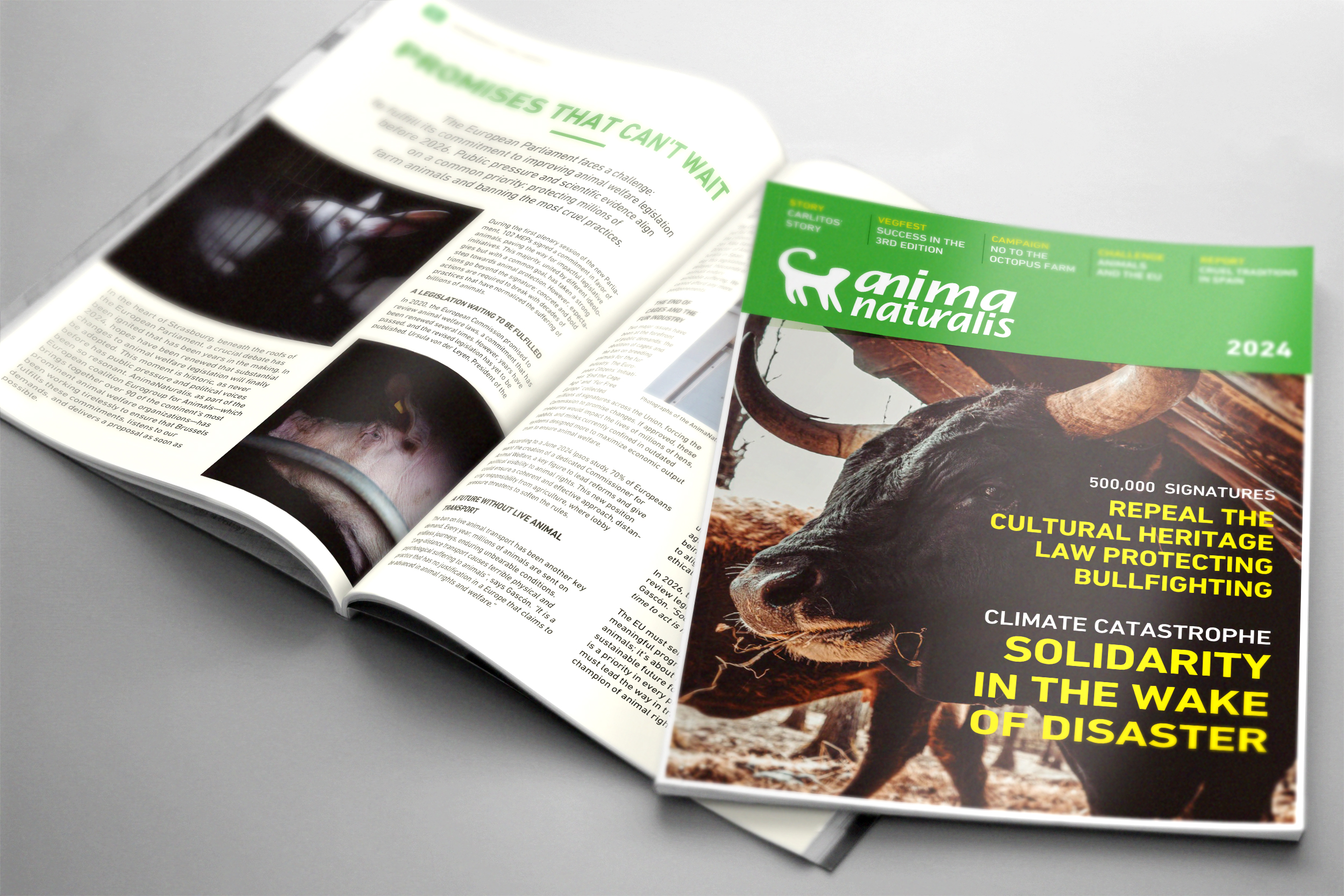 2024: A Year of Achievements and Advocacy for Animals