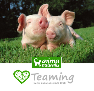 ¡Ayuda a los animales por sólo 1€ al mes!