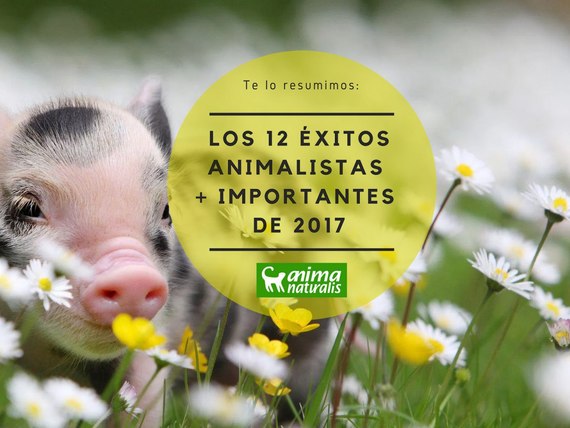 12 éxitos animalistas más importantes de 2017