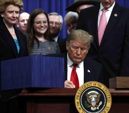 Prohibidas las peleas de gallos en Puerto Rico