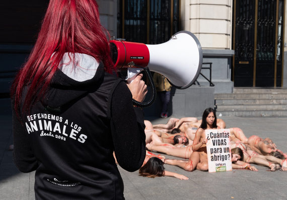 Una veintena de activistas desnudos en Zaragoza contra la industria peletera