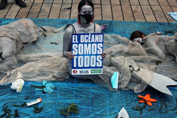 El océano somos todos