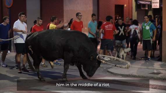 A decade of blood fiestas investigations, in 5 minutes