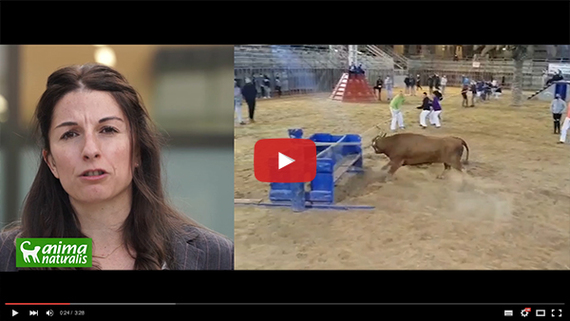 One more year for animals