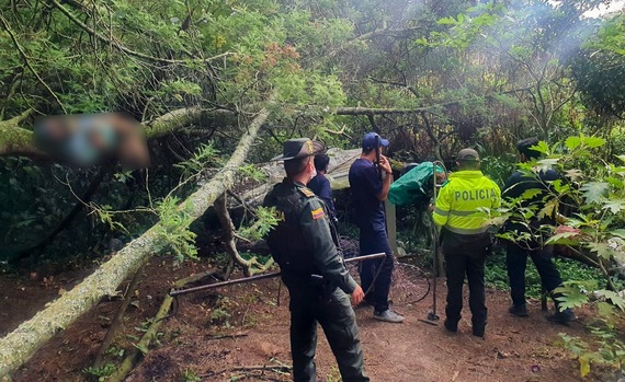 Hallan a siete caninos sin vida y en estado de descomposición al norte de Bogotá
