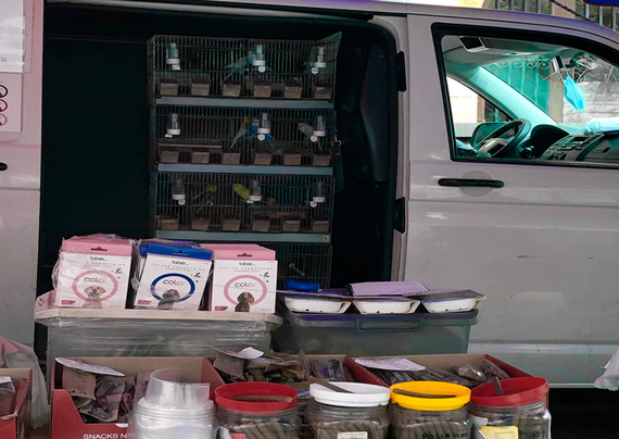 AnimaNaturalis denuncia una tienda de animales ambulante en Centelles