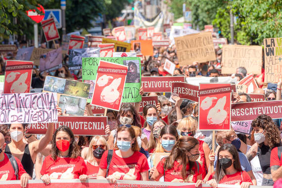 Organizaciones animalistas exigimos en Madrid el rescate inmediato de los animales de Vivotecnia