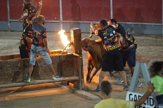 We uncover the reality of cruel traditions in Spain