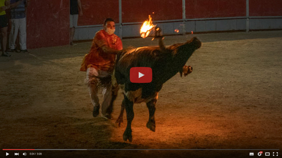 Catalonia is permissive with animal abuse!