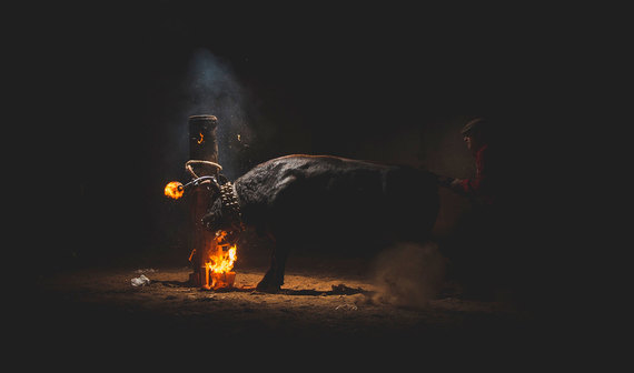 ¡Acabemos juntos con las fiestas populares con toros!