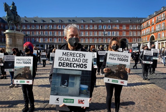 Exigimos en Madrid que todos los perros sean considerados iguales ante la ley