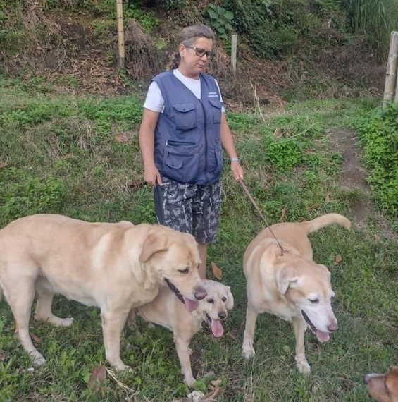 ¡Que la defensa de los animales no nos cueste la vida!