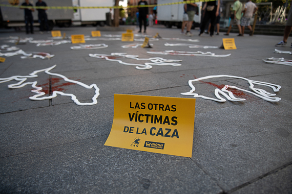 Protesta en Madrid exige derechos para todos los perros sin excepción