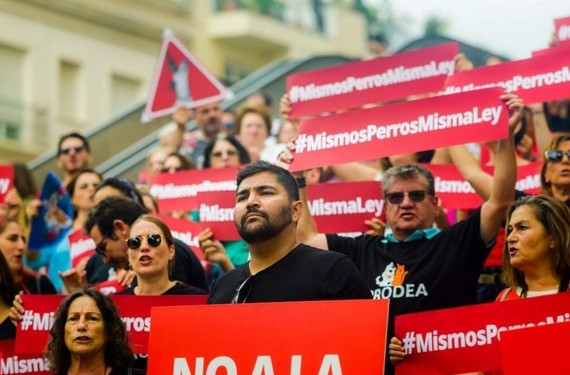 Centenares de organizaciones animalistas exigimos al PSOE que ningún perro quede excluido de la Ley