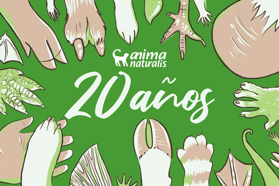 20 años comenzaron con un primer paso