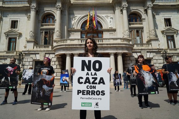 ¡Mostramos en Valencia la cruda realidad de la caza con perros!