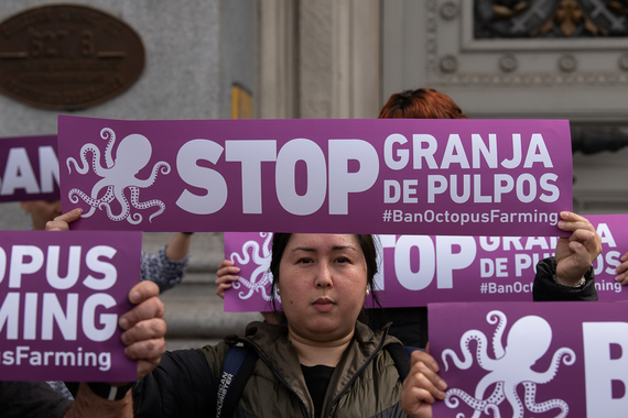 ¡Protesta frente al Ministerio de Agricultura contra la granja de pulpos de Nueva Pescanova!