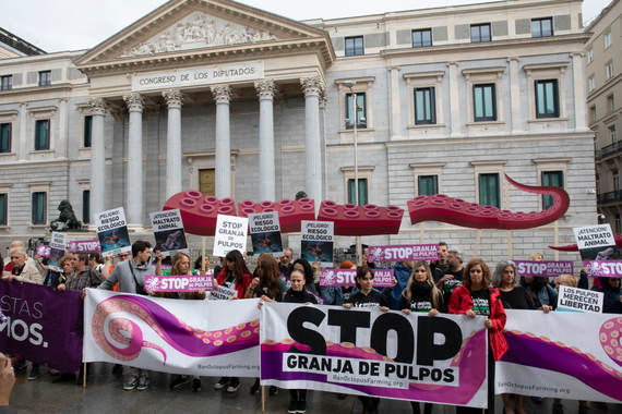 Un centenar de ecologistas y defensores de los animales exigimos al Congreso la paralización de la granja de pulpos de Canarias
