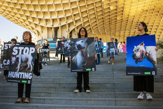 AnimaNaturalis expuso el horror de la caza en su última acción en Sevilla