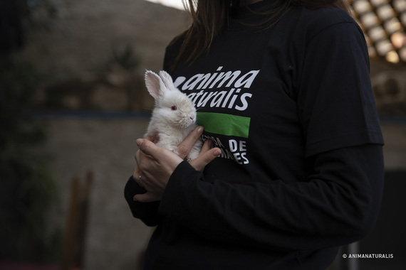 AnimaNaturalis rescues six rabbits from darkness