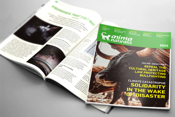 2024: A Year of Achievements and Advocacy for Animals