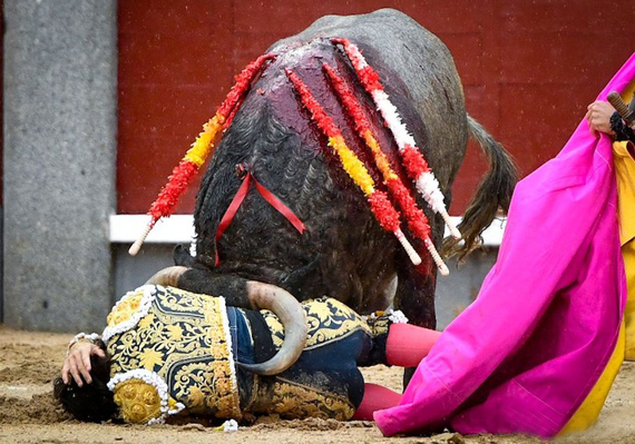 Michoacán decide el futuro de las corridas de toros en una votación histórica