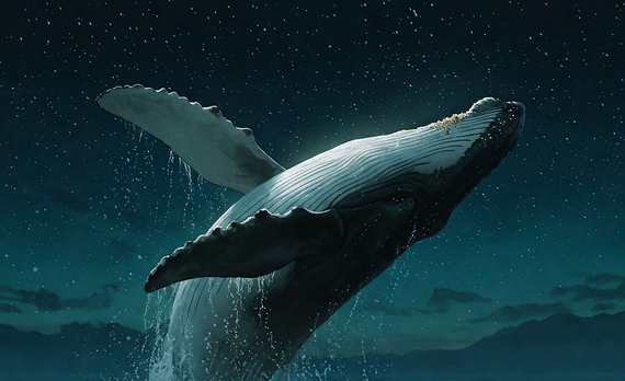 Alumbremos el cielo por las ballenas: Únete a la vigilia global este Día de la Tierra