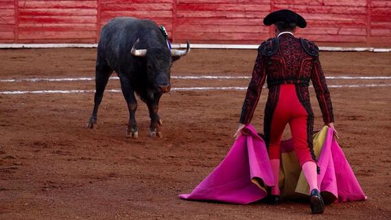 The 78% of the Spanish population rejects bullfighting, according to a new survey