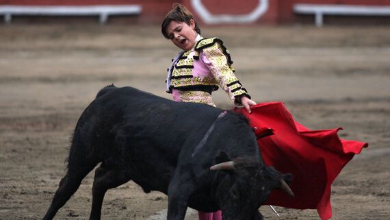 Conservative governments make efforts to promote bullfighting from childhood