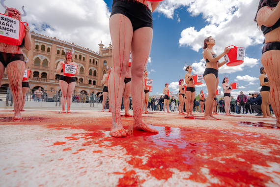 Madrid raises its voice against bullfighting and for a cruelty-free culture