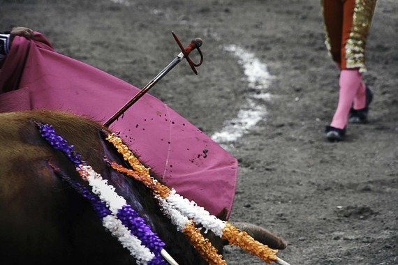 Plaza Monumental de México anuncia que realizar corridas de toros es completamente inviable por la nueva normativa de Ciudad de México