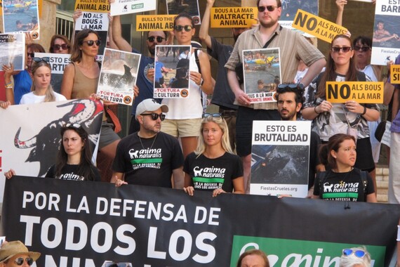 Centenares de activistas se movilizan en Dénia por el fin de los bous a la mar