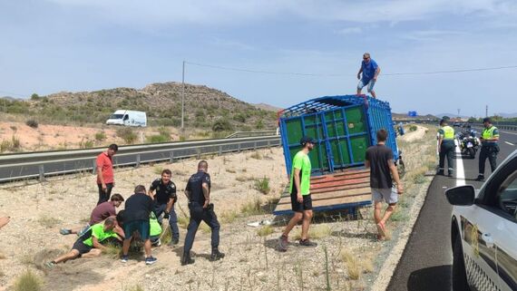 Descubrimiento de capeas ilegales en Alicante tras la fuga de una vaquilla