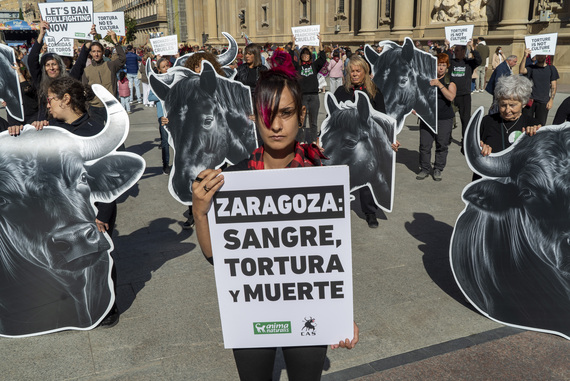 We demand an end to bullfights in Zaragoza during the Pilar Festivities