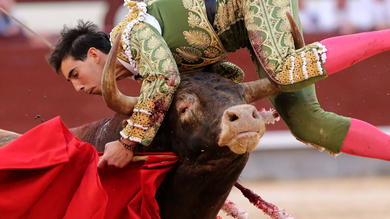 La tauromaquia queda fuera por tercer año consecutivo de las Medallas de Oro de las Bellas Artes