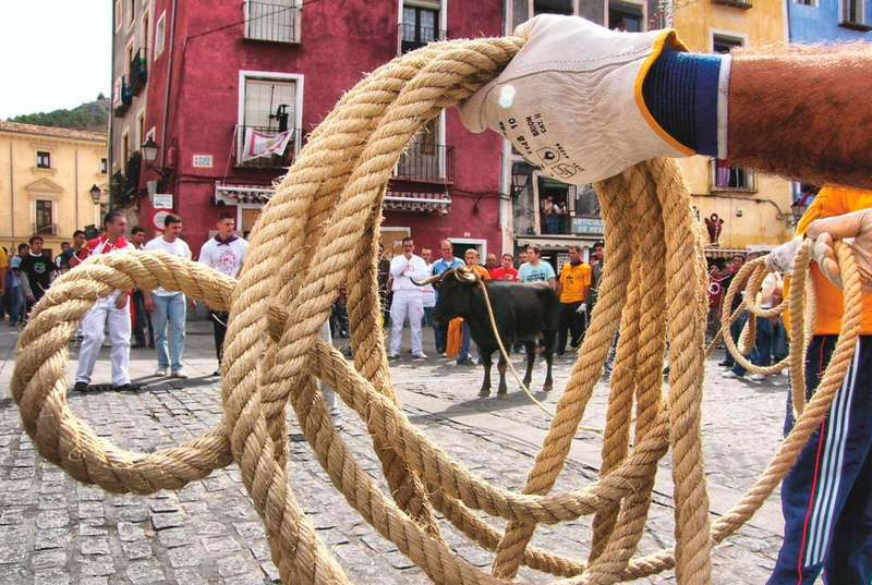 AnimaNaturalis recurre la decisión de archivar denuncia contra actos taurinos celebrados fuera de las fiestas reconocidas en La Ràpita AnimaNaturalis recurre la decisión de archivar denuncia contra actos taurinos celebrados fuera de las fiestas reconocidas en La Ràpita