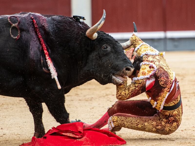 A bitter anniversary for bullfighting marks the end of bloodshed at Mexico City’s Monumental Plaza