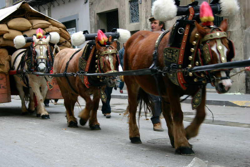 The Tres Tombs parade faces its deepest ethical crisis in decades