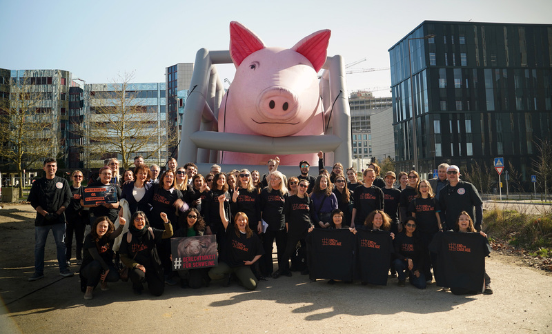 El Tribunal de Justicia de la UE juzga la promesa rota que mantiene a 300 millones de animales en jaulas