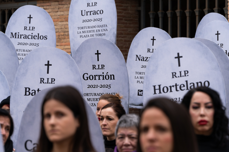 140 activists brave the rain and Las Fallas to demand an end to bullfighting in Valencia