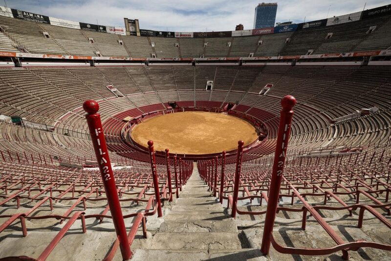 Un año sin sangre en la plaza más grande del mundo