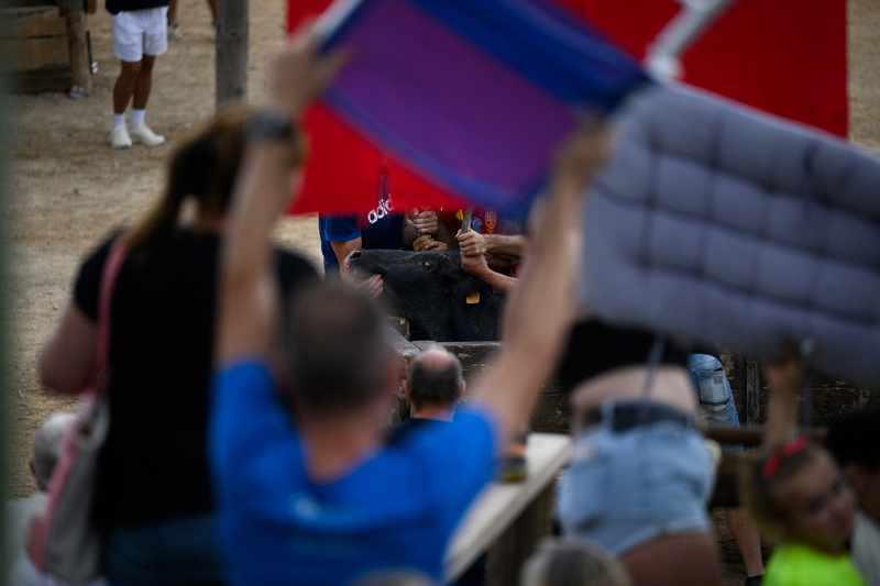 Los aficionados intentan impedir a nuestro equipo grabar los correbous de Sant Jaume d'Enveja