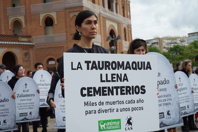 Cien lápidas frente a Las Ventas ponen nombre a los toros matados con dinero público