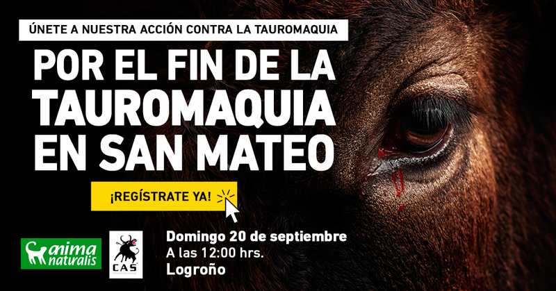 Logroño alza la voz: Únete para exigir unas fiestas sin tauromaquia.