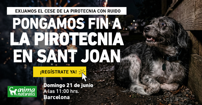 ¡Protesta en Barcelona: Exigimos una pirotecnia sin ruido!